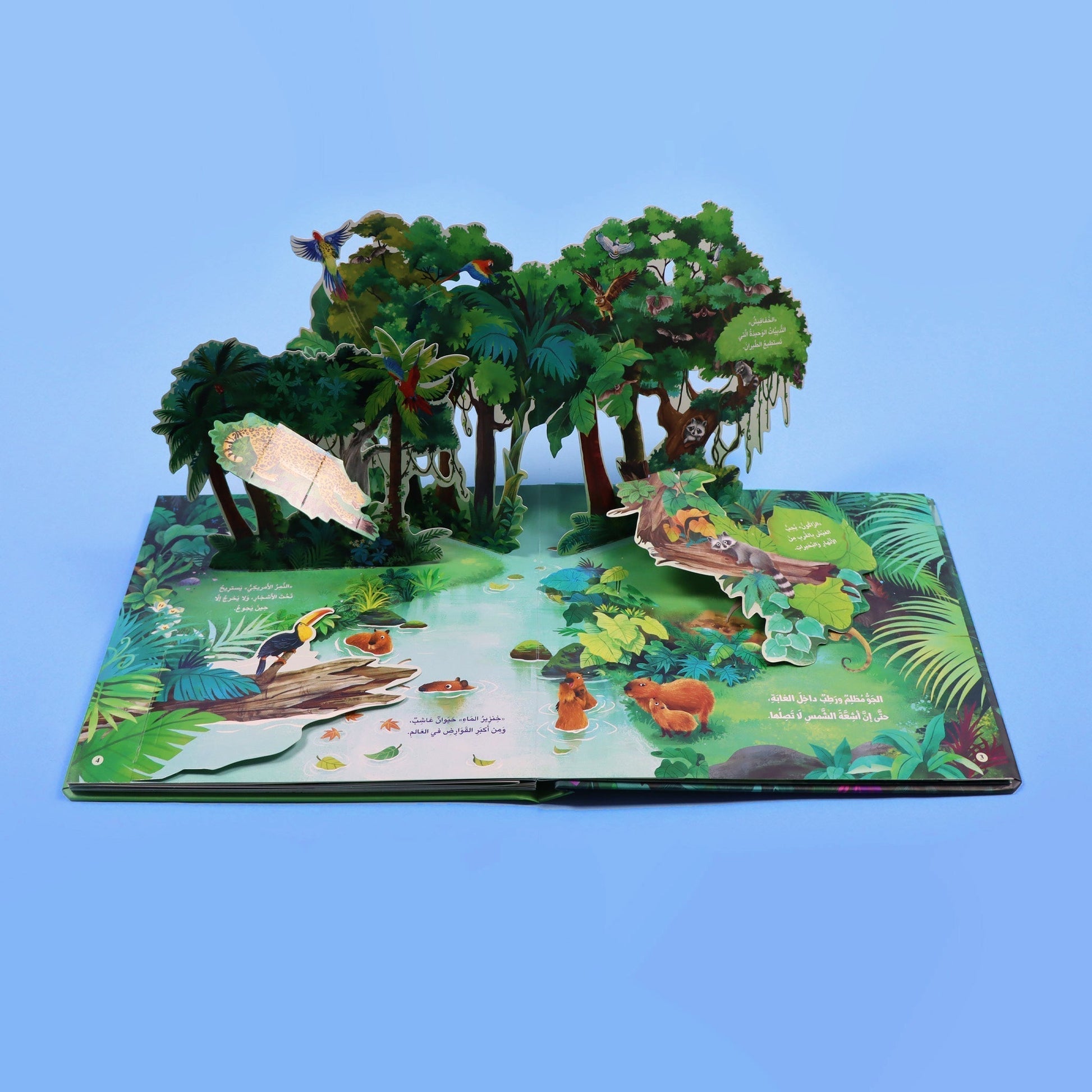 كتاب الغابة ثلاثي الأبعاد: صور منبثقة لقرد ونمر وحيوانات الغابة