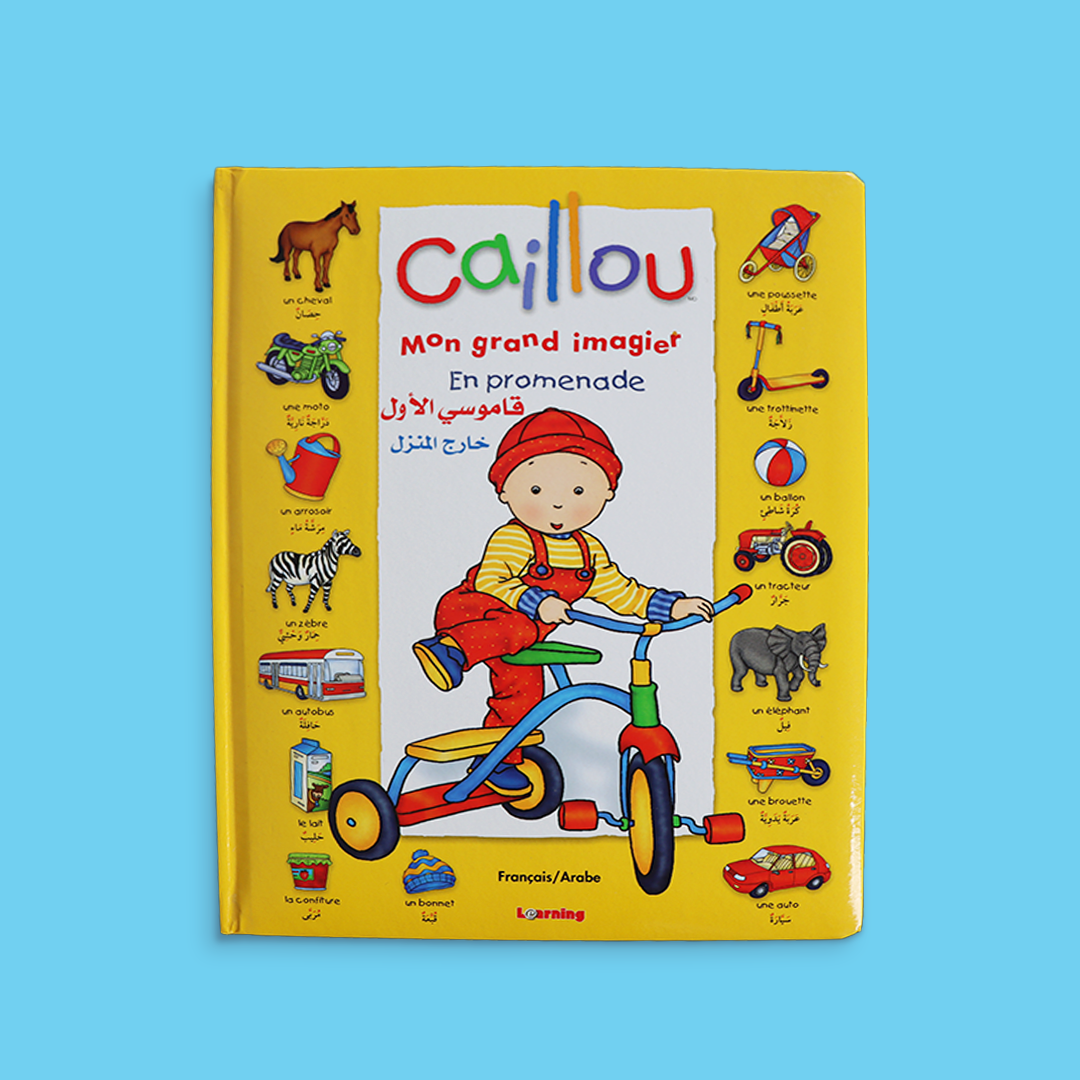 Caillou french dictionaire. caillou character. Francais caillou.