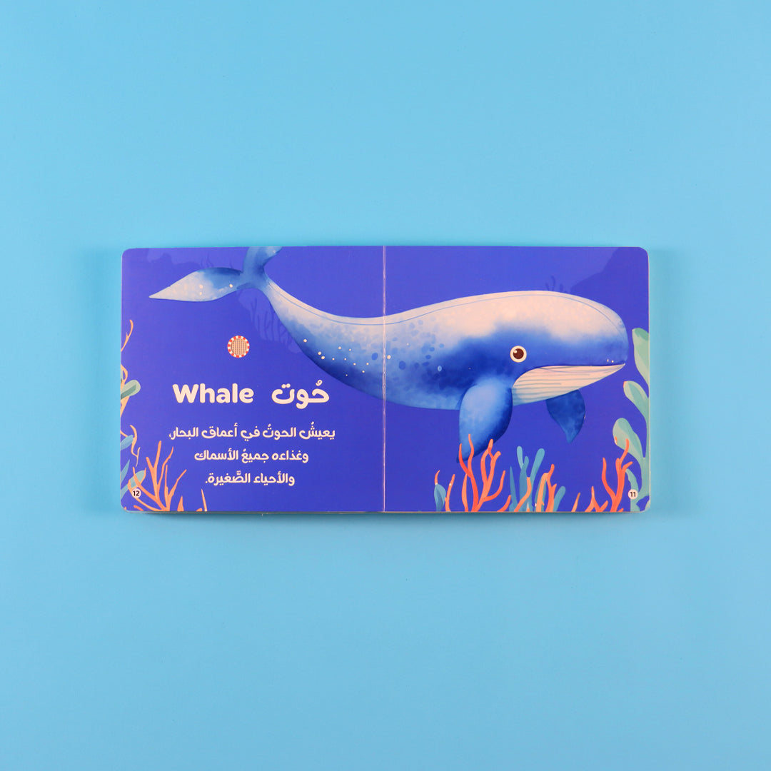 صفحات ملونة من كتاب أصوات الحيوانات تشرح أسماء الحيوانات بطريقة مبسطة