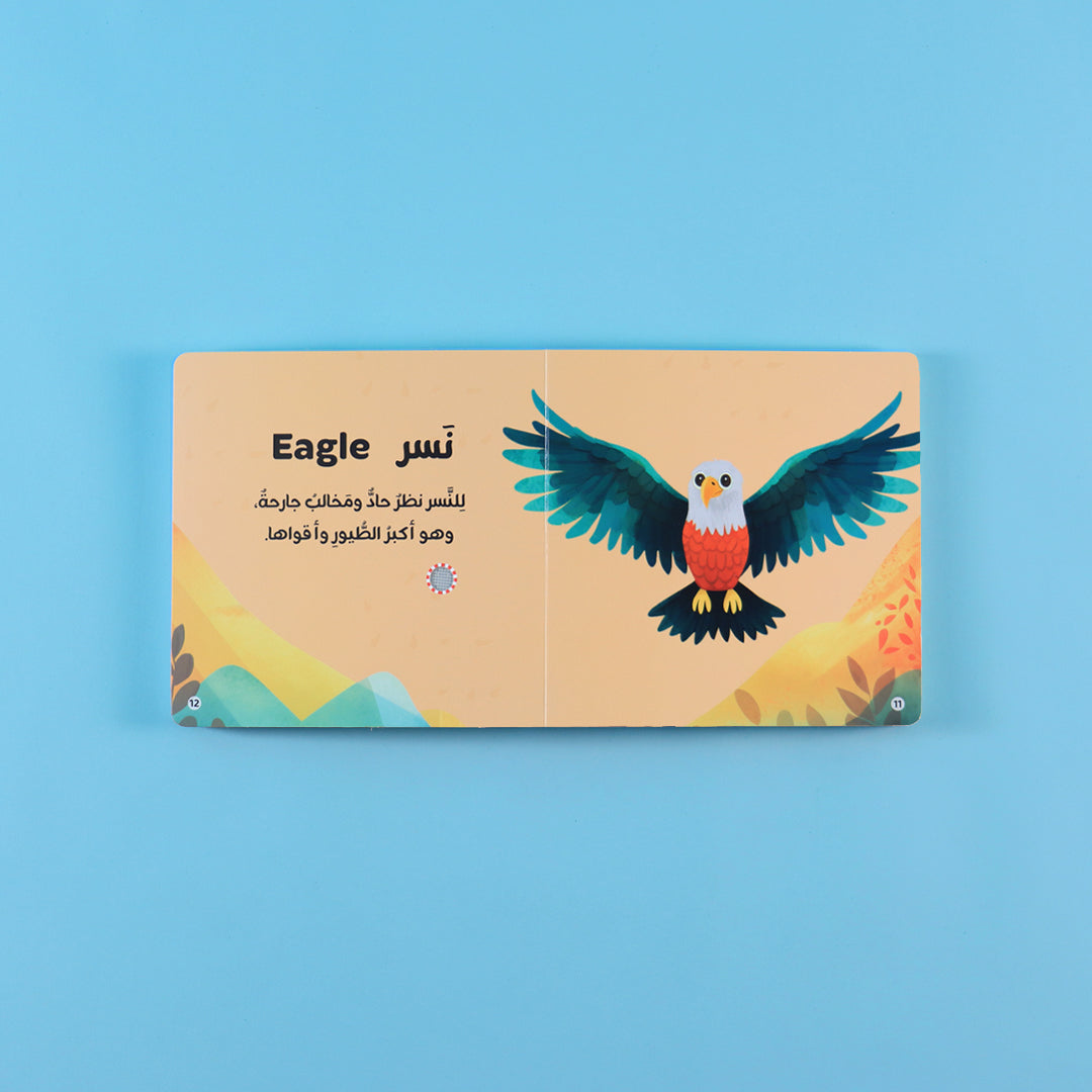 كتاب عربي ناطق لتعليم الأطفال الحيوانات وأصواتها الطبيعية