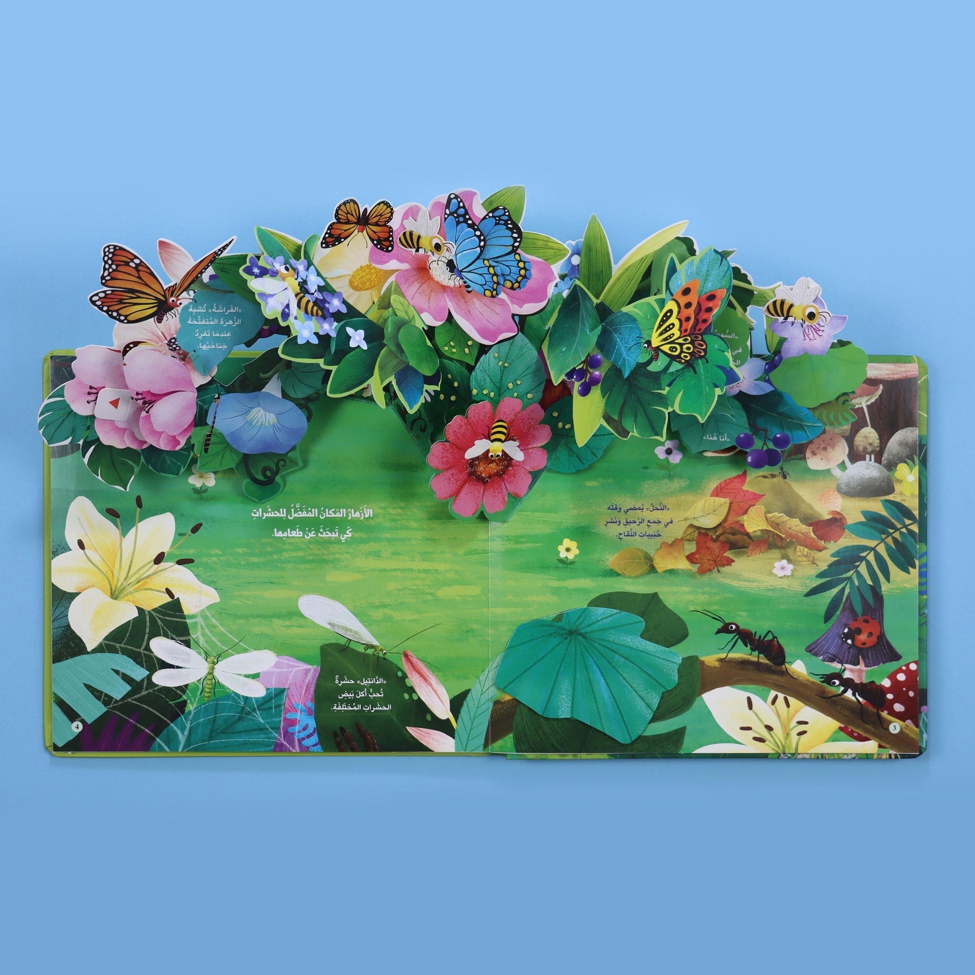 صفحات 2 كتاب مملكة الحيوان الحشرات كتاب أطفال تعليمي ثلاثي الأيعاد يعرّف بعالم الحشرات وطريقة حياتها