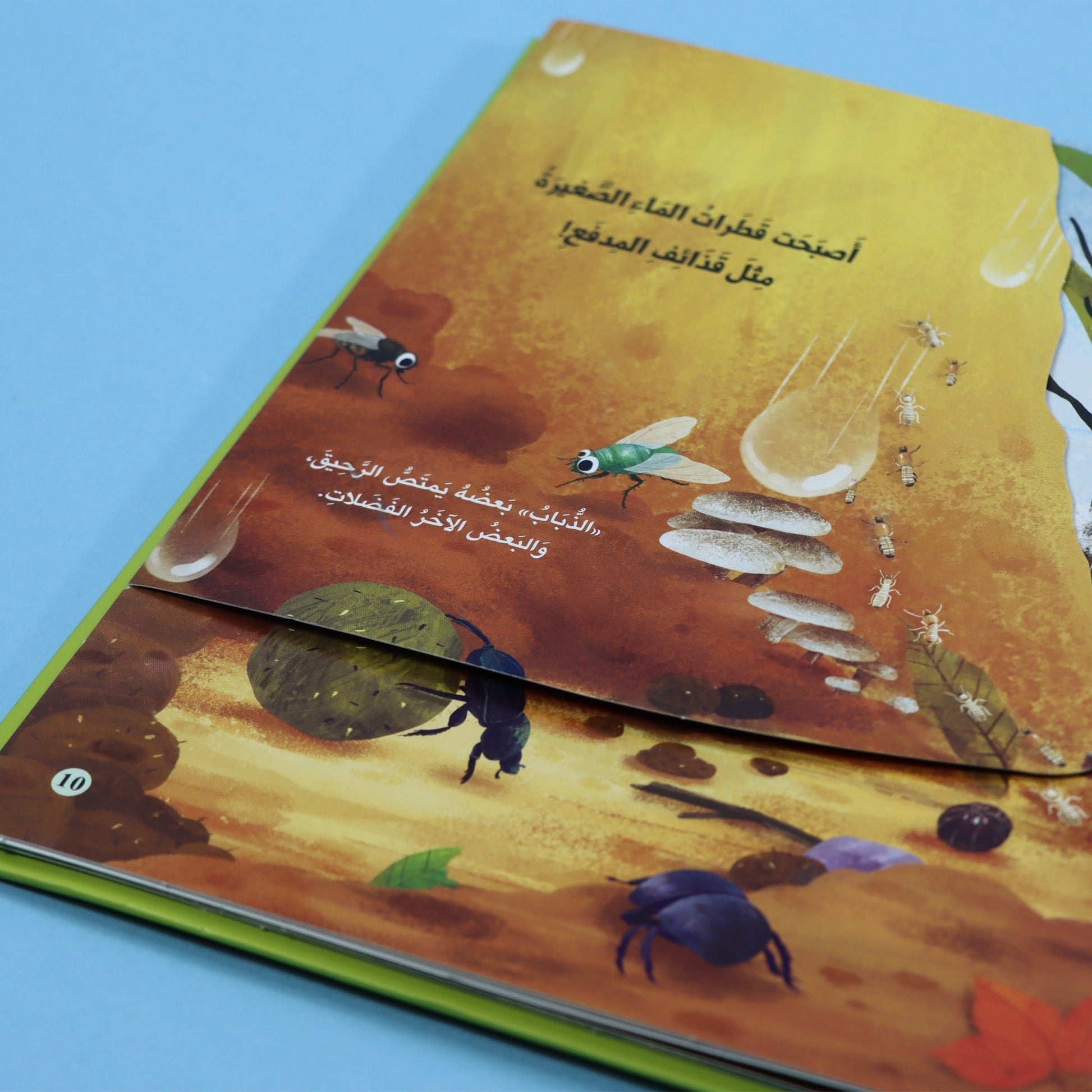 صفحات 3 كتاب مملكة الحيوان الحشرات كتاب أطفال تعليمي ثلاثي الأيعاد يعرّف بعالم الحشرات وطريقة حياتها