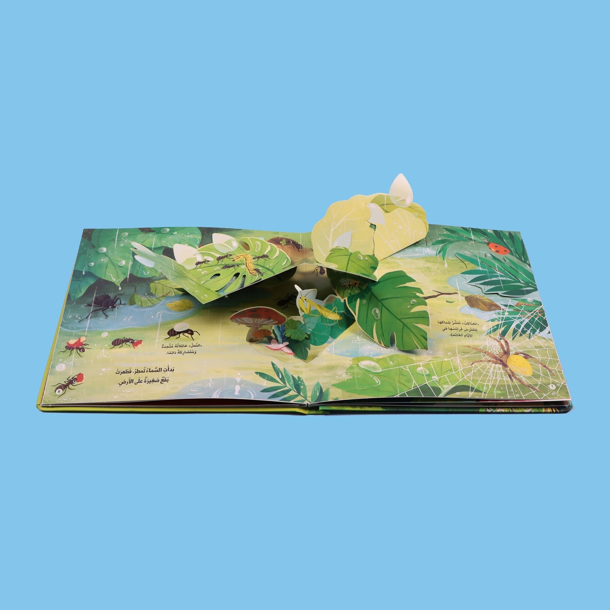 صفحات كتاب مملكة الحيوان الحشرات كتاب أطفال تعليمي ثلاثي الأيعاد يعرّف بعالم الحشرات وطريقة حياتها