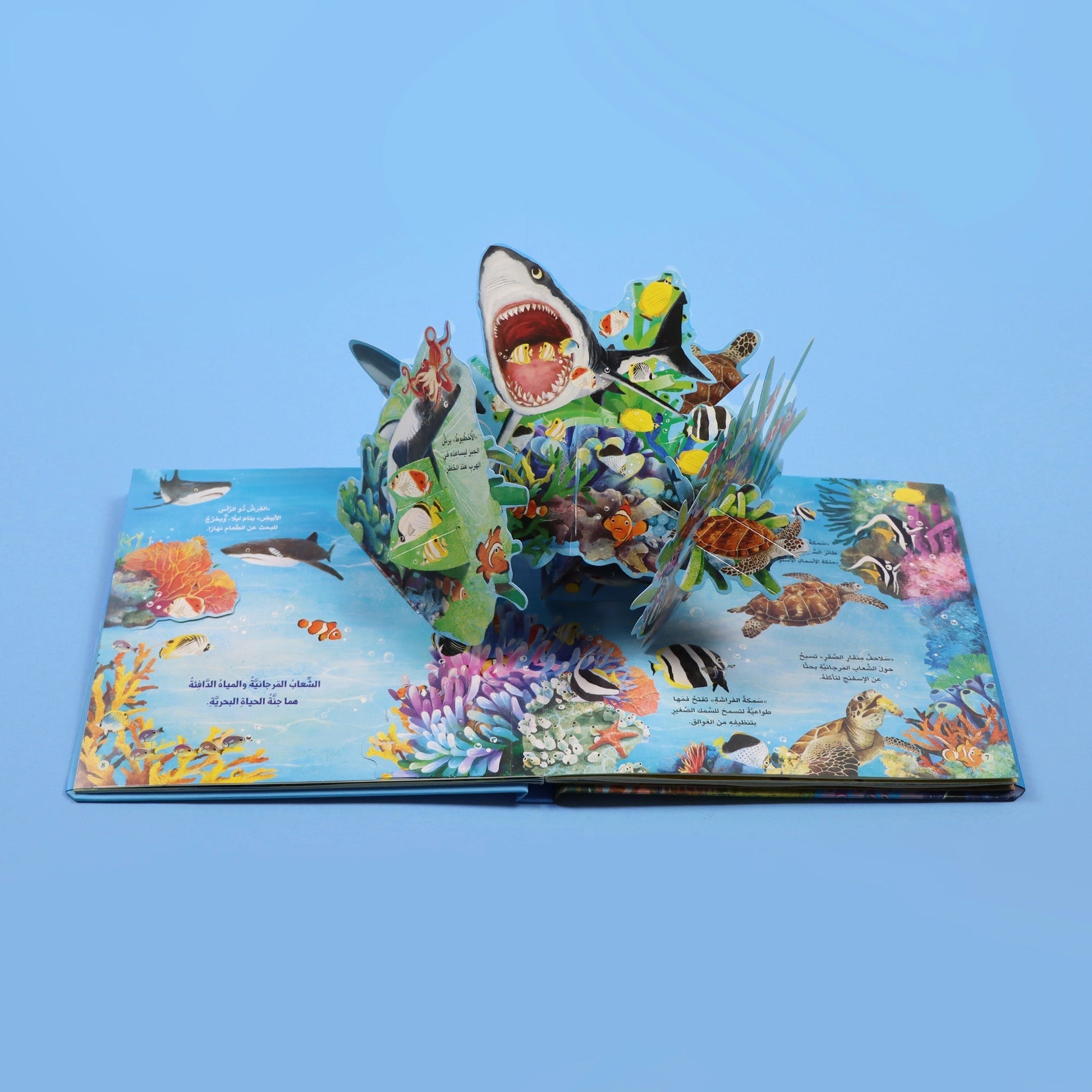 صفحات 1 كتاب مملكة الحيوان المحيط كتاب أطفال تعليمي يعرّف بالحياة البحرية والكائنات التي تعيش في المحيط