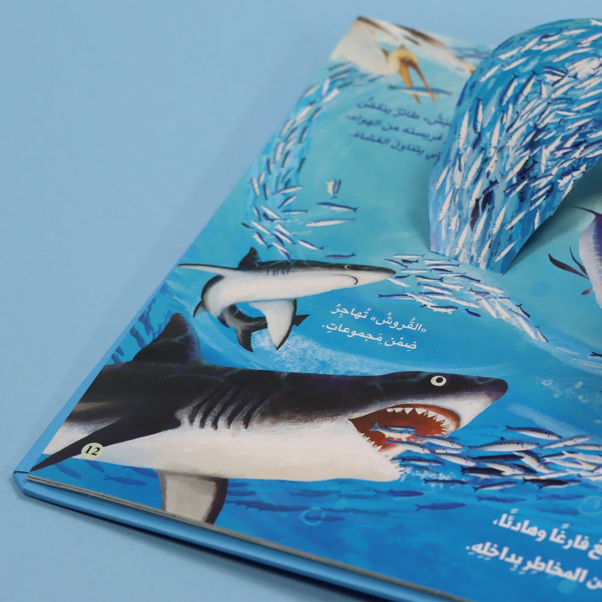 صفحات 3 كتاب مملكة الحيوان المحيط كتاب أطفال تعليمي يعرّف بالحياة البحرية والكائنات التي تعيش في المحيط