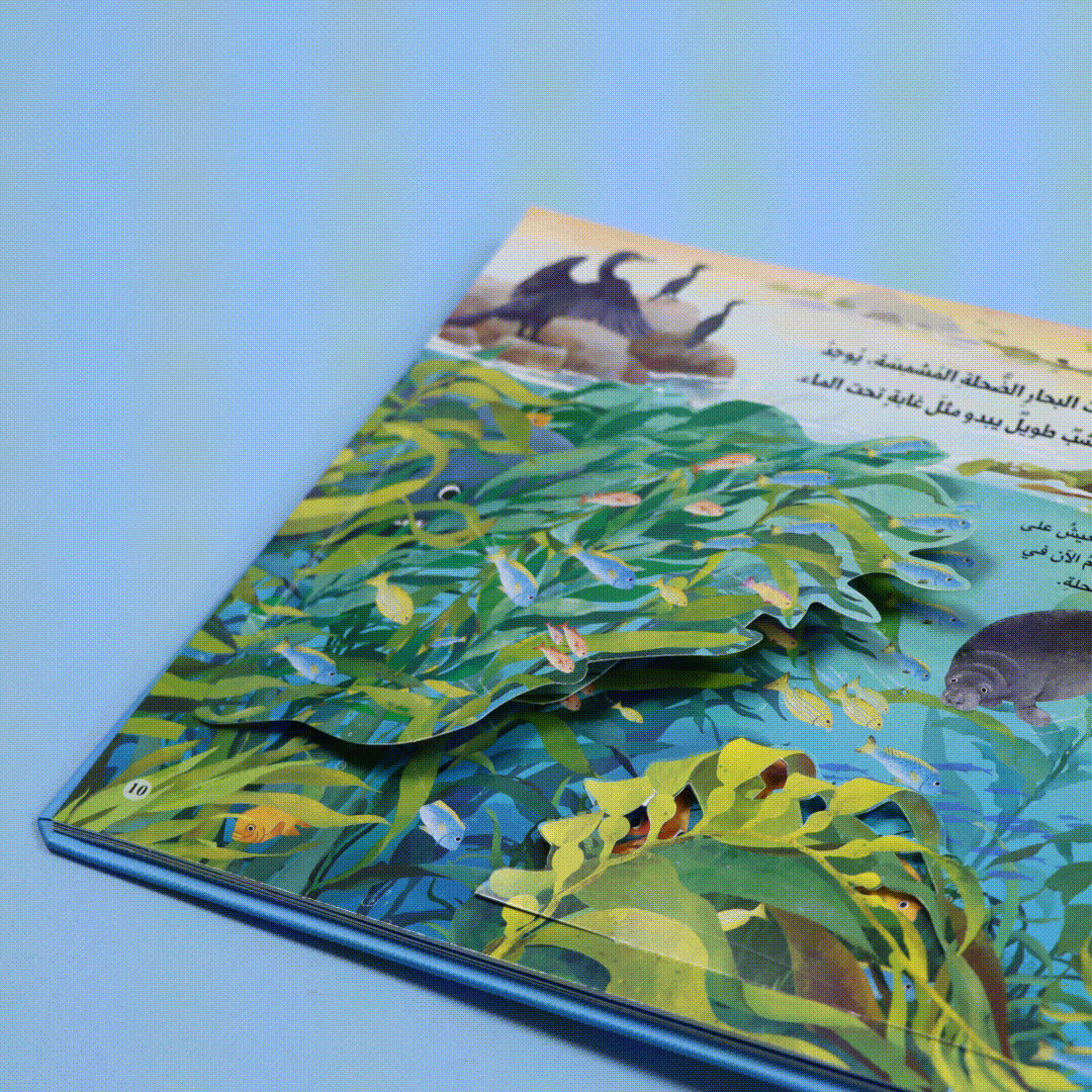 صفحات 4 كتاب مملكة الحيوان المحيط كتاب أطفال تعليمي يعرّف بالحياة البحرية والكائنات التي تعيش في المحيط