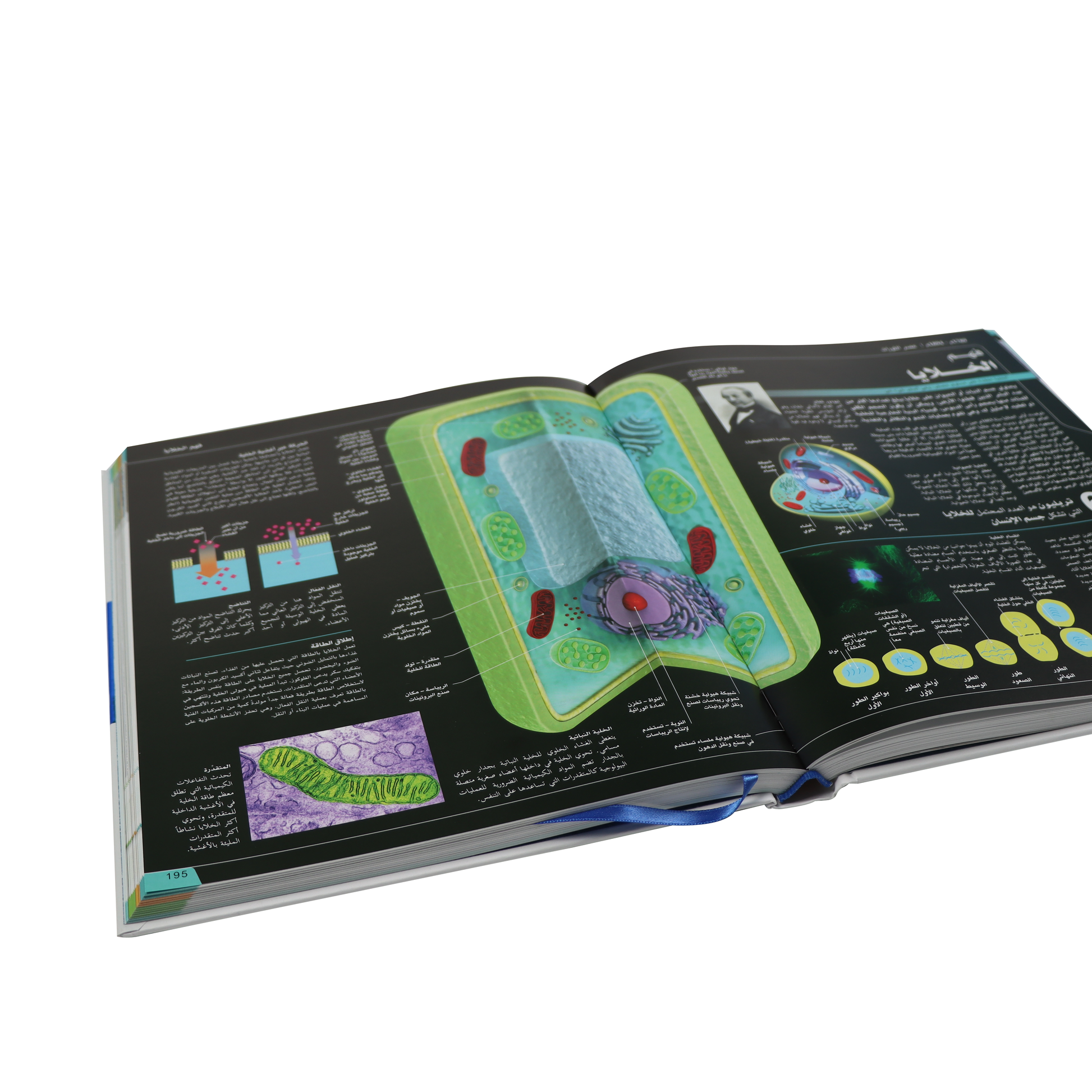 صفحات داخلية من كتاب موسوعة العلوم عاماً بعام يعرض تطور الاكتشافات العلمية عبر الزمن